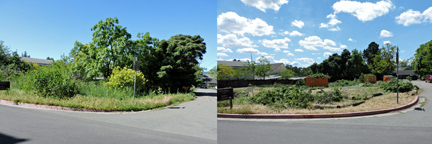 BeforeAfterRotary Ap2016 72