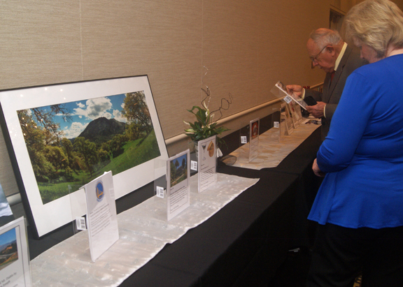 LR CHS DinnerAuction 2016 19 SilentAuction