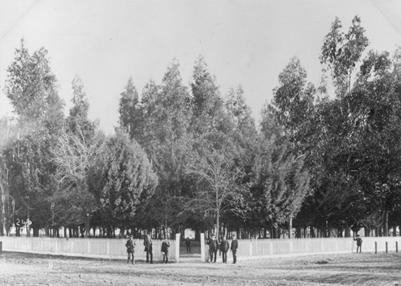 Plaza 1884 picket fence img